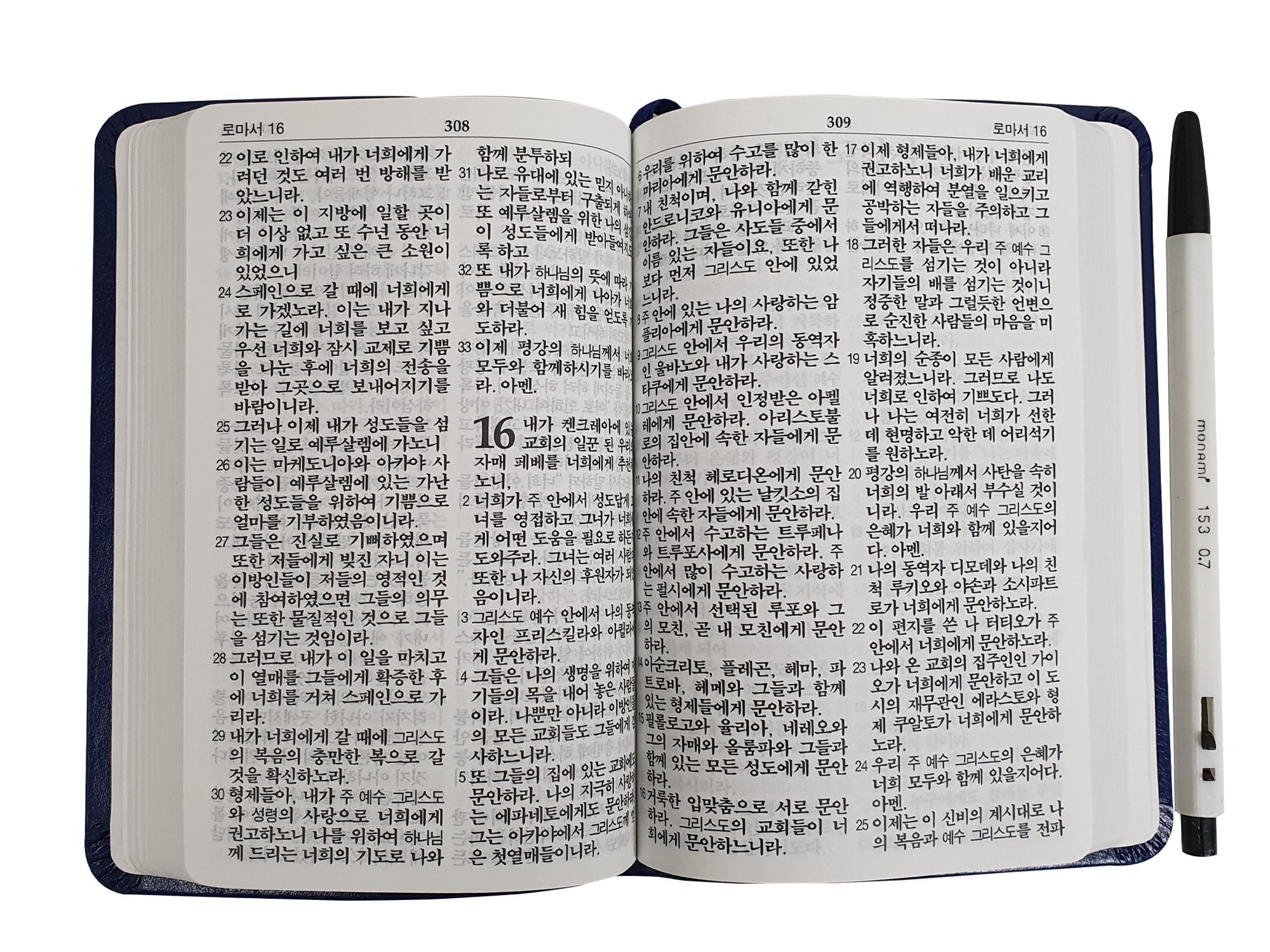 한글킹제임스성경 신약·시편·잠언(청색)